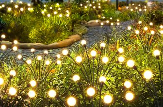 garden solar lights