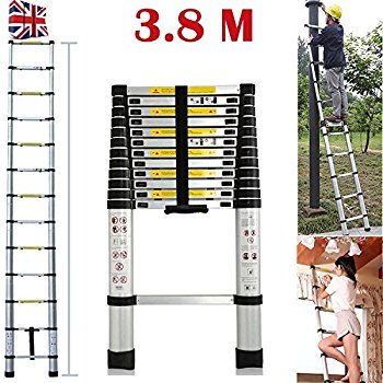 3.8m telescopic ladders